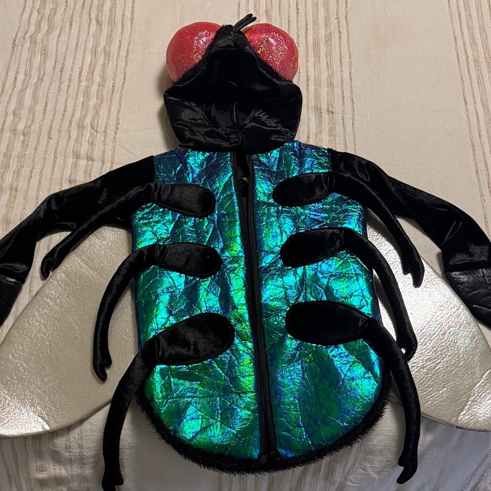 Kids Fly Costume with Iridescent Green and Black